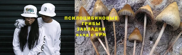 хмурый Абинск