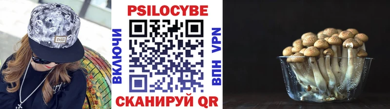 Псилоцибиновые грибы мицелий  Ужур 